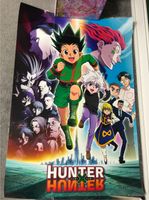 HunterxHunter Poster (laminiert) -Anime (Hisoka,Gon,Killiua,…etc. Schleswig-Holstein - Bad Bramstedt Vorschau