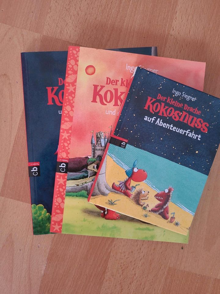 Drache Kokosnuss Bücher in Weiskirchen