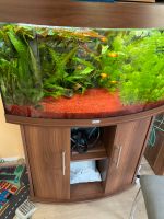 Juwel Aquarium mit Fische Nordrhein-Westfalen - Herford Vorschau