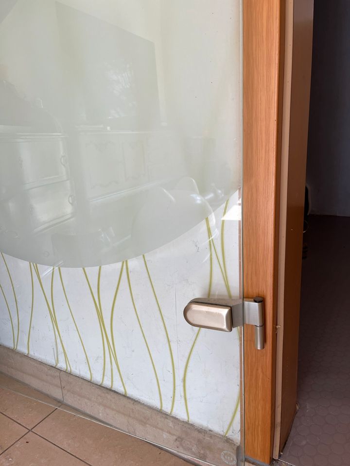 Glastür Zimmertür mit Beschlag ohne Zarge in Mühlenbecker Land