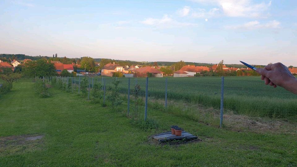 In UNGARN, Gartengrundstück, Obstgarten mit Haus/Obstlager in Kastellaun