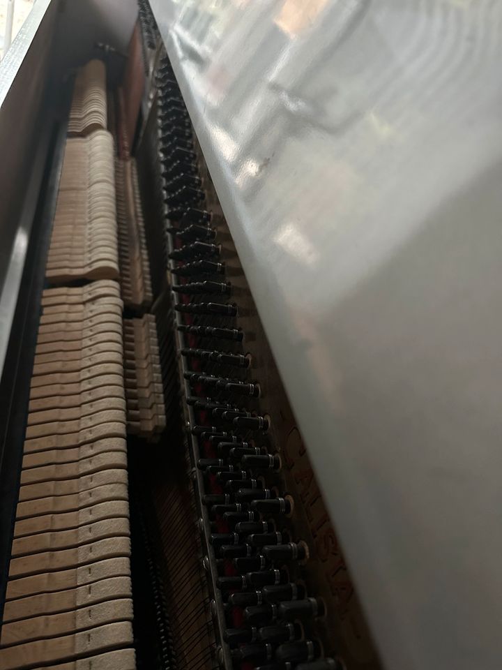 Klavier von der Traditionsmarke Calisia in silbermetallic in Hagenburg