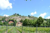 Baugrundstück in absoluter Bestlage von Radebeul-Ost mit Blick auf die Weinberge Sachsen - Radebeul Vorschau
