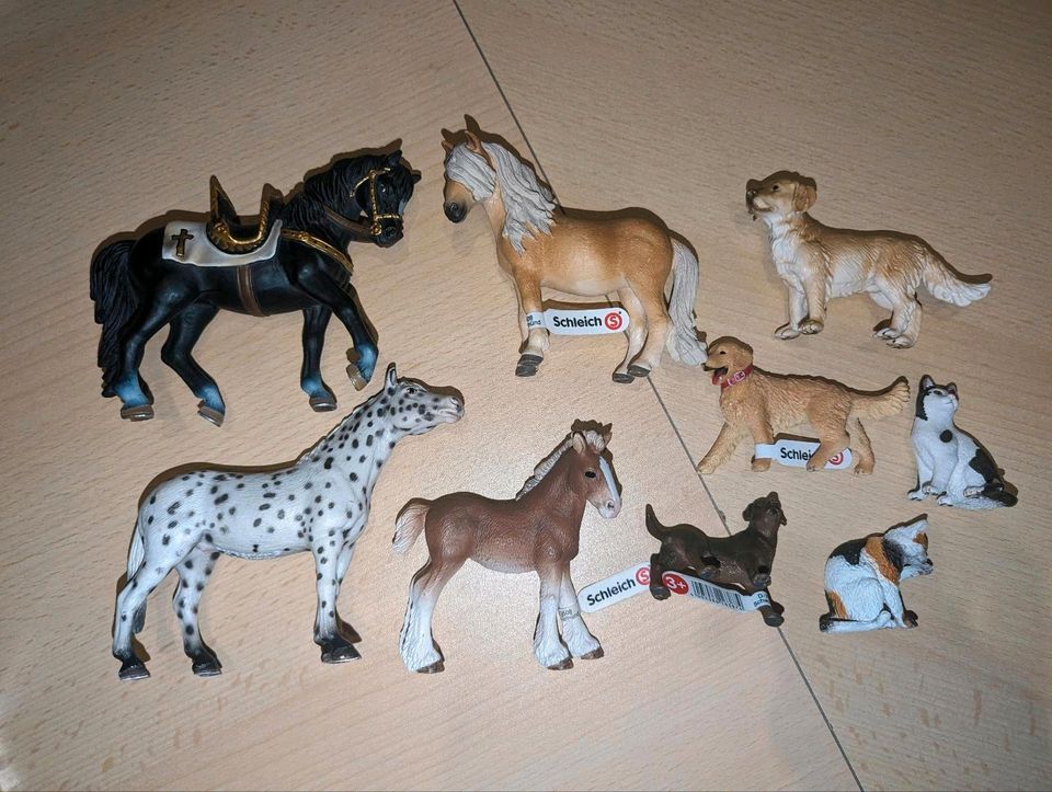 Schleich Pferde Hunde Katzen Weihnachten Geschenk in Gladenbach