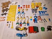 Playmobil Originalteile Sammelsorium Brandenburg - Pritzwalk Vorschau