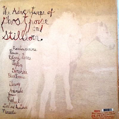 CocoRosie / The Adventures Of Ghosthorse And Stillborn LP, NM! in Angermünde