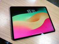 Apple iPad Pro 12,9'' (4.Generation) 256 GB wie Neu Berlin - Steglitz Vorschau