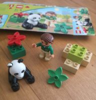 Lego Duplo 6173 Pandabär Zoo Set mit OVP Baden-Württemberg - Binzen Vorschau