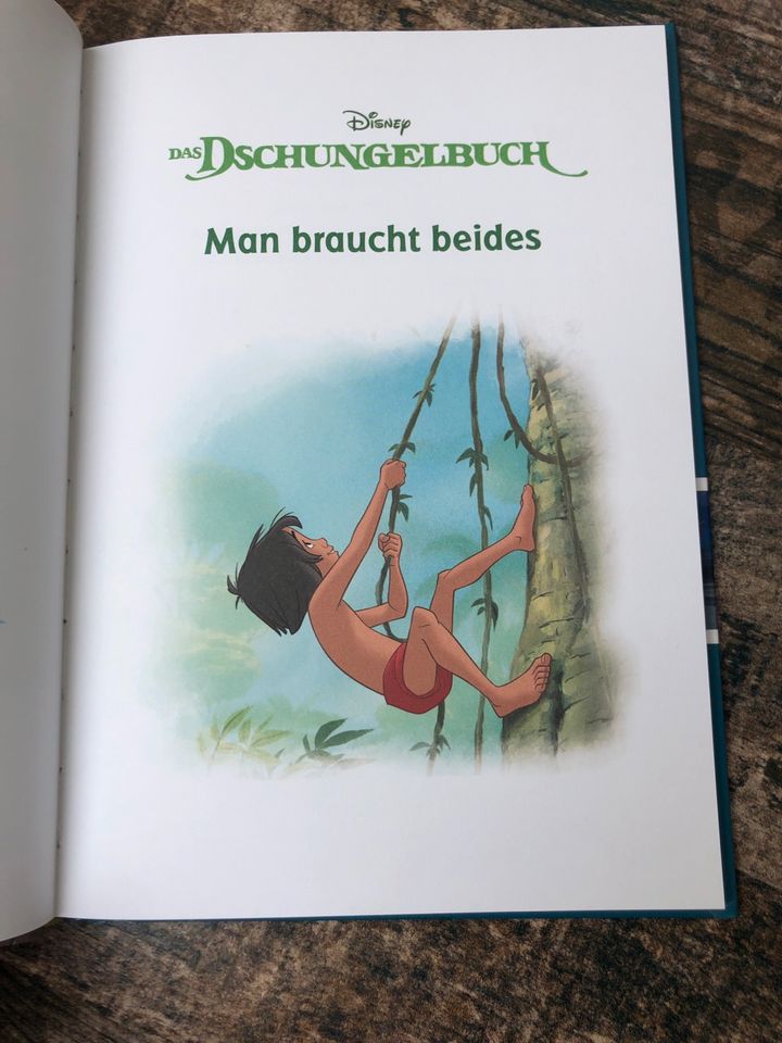 Disney Kinderbuch „neue Abenteuer-Geschichten“ Pan, 101 D. Dschun in Neustadt a.d.Donau