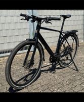 Ebike Orbea Vibe 1A Zustand Touren Trekking Urban Rheinland-Pfalz - Deidesheim Vorschau