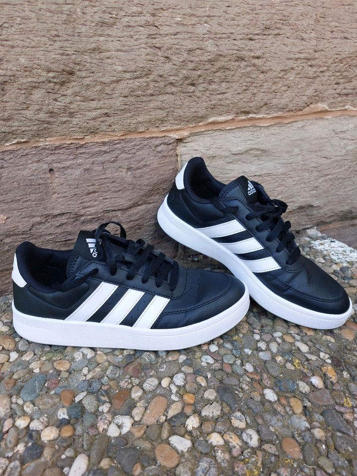 Adidas Sneakers Gr. 40 2/3 in Vaihingen an der Enz