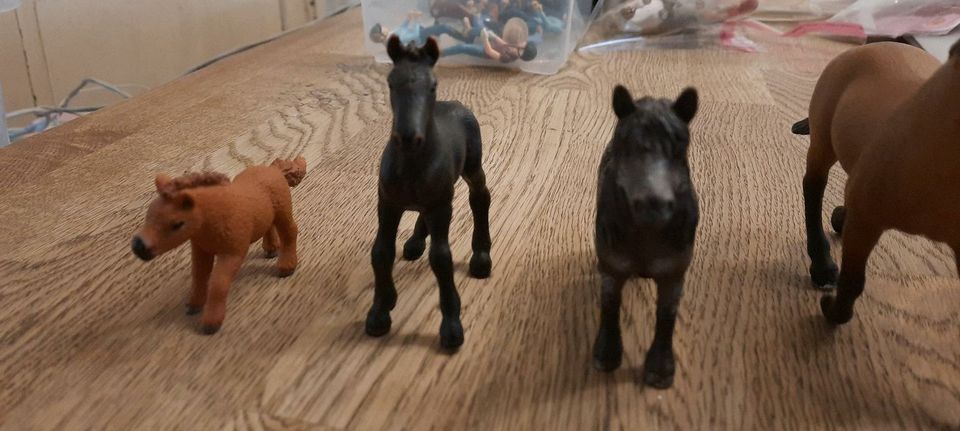 Schleich Pferde - super Zustand in Jülich