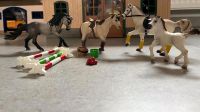 Schleich Pferde Stangen Köln - Seeberg Vorschau