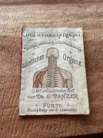 Der weibliche Körper - 1897 Jahrgang Bayern - Ingolstadt Vorschau