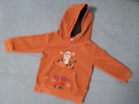 Kinder Pullover Disney  Größe 98 Tigger Borsdorf - Panitzsch Vorschau