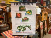 Schulwandkarte Kartoffelkäfer vintage Nordrhein-Westfalen - Telgte Vorschau