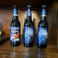 Flensburger Brauerei Export Bierflaschen  Greenland Grönland Schleswig-Holstein - Böel Vorschau