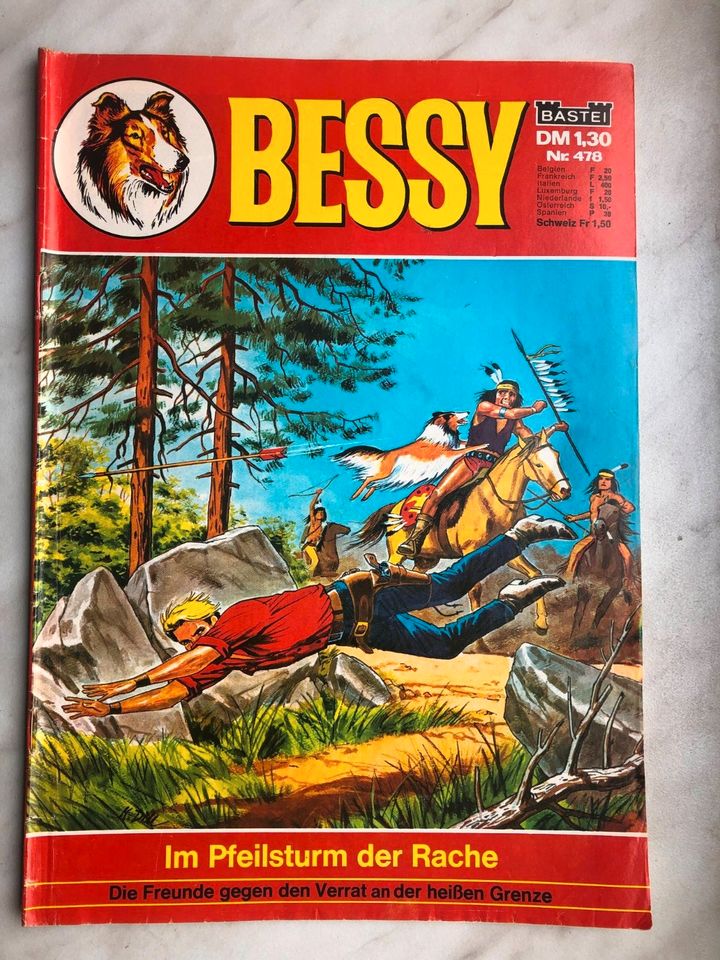 15 Bessy Comics (Bastei guter Zustand) - Konvolut # 1 in Frankfurt am Main