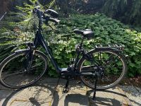 E-Bike Hercules Damenrad Nordrhein-Westfalen - Rheine Vorschau