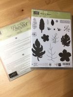 Stampin up Stempelset Botanical Blooms mit Stanzformen und DSP Nordrhein-Westfalen - Königswinter Vorschau