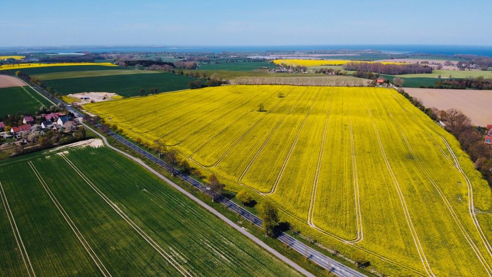 Ferienwohnungen an der Ostsee in Hohenkirchen