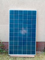 Photovoltaik PV Module Trina Solar Panel 245 W TSM-245 PC05 Nordrhein-Westfalen - Recklinghausen Vorschau