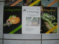 Reptilienzeitschrift ELAPHE (gut erhalten) Nordrhein-Westfalen - Spenge Vorschau