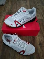 NEU Puma Vellum Schuh Sportschuh Halle Indoor Gr. 45 Bayern - Bamberg Vorschau