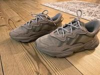 Adidas Ozweego 38 Braun Nordrhein-Westfalen - Düren Vorschau