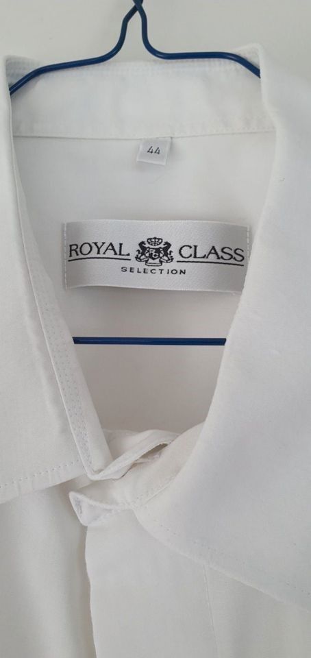 Royal Class Selektion Vollzwirn + Royal Class Selektion in Allershausen