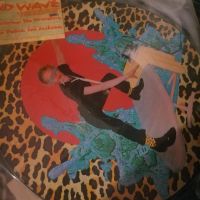 NO WAVE - IMPORT PICTURE DISC Nordrhein-Westfalen - Rösrath Vorschau