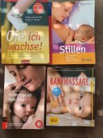 Bücher Baby Stillen Babymassage Rheinland-Pfalz - Maring-Noviand Vorschau