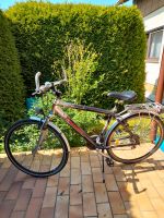 Herren- Fahrrad    28 Zoll    CONWAY Baden-Württemberg - Frickenhausen Vorschau