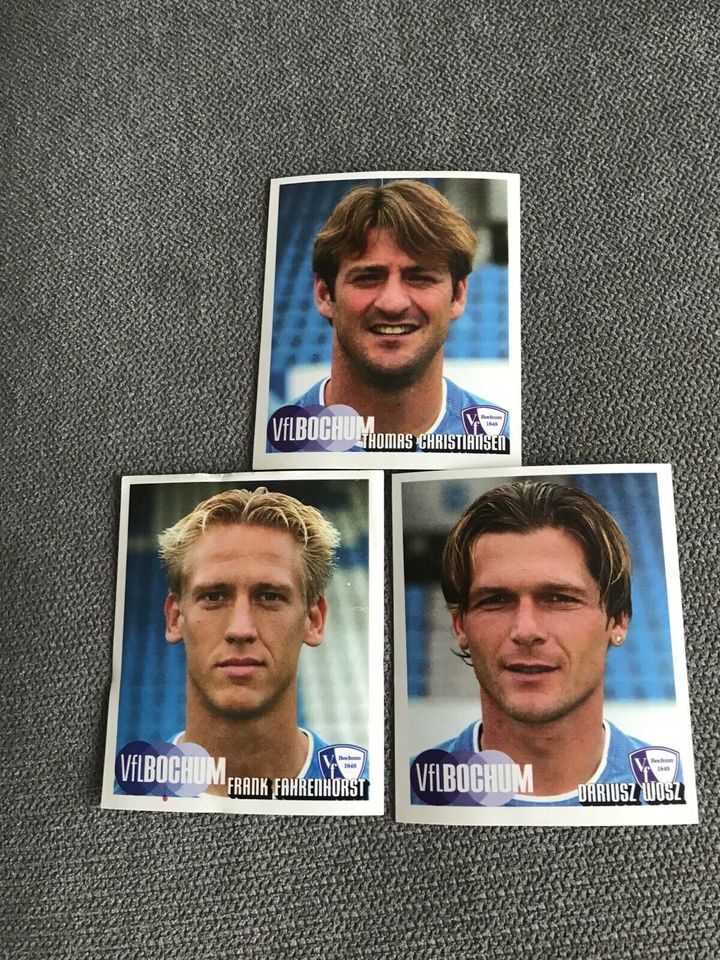 PANINI SAMMELBILDER FUSSBALL BUNDESLIGA 2002 + 2003. 40.STK in Hemmingen