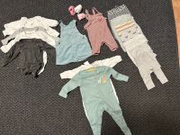 Babybekleidung / Mädchen / Gr. 50 - 56 / 18 Teile Niedersachsen - Seevetal Vorschau