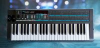 SUCHE Korg Poly 800 Gehäuse Synthesizer Keyboard Baden-Württemberg - Schorndorf Vorschau