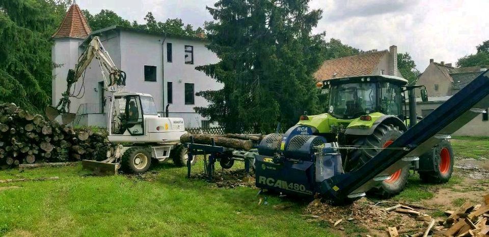 Holzspalten in Jessen (Elster)