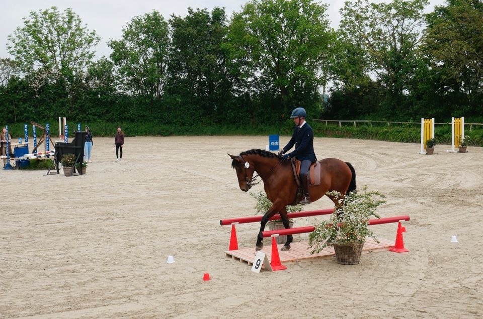 PRE Wallach Working Equitation in Trier