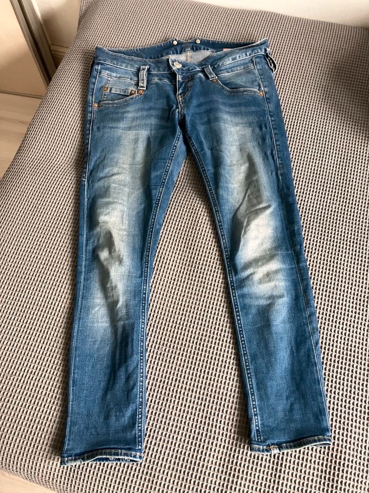 Verschiedene Jeans: Levis, jQ, Gas, Herrlicher, Esprit in Schenefeld