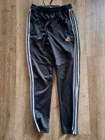 Adidas Jogginghose Traingshose Größe 164 Bayern - Lehrberg Vorschau