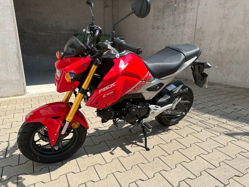 Honda MSX 125 in Appenweier