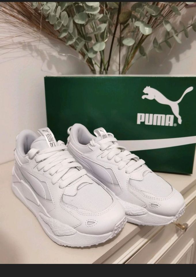 Puma rs-z Sneaker - Neu gr 36 in Essen