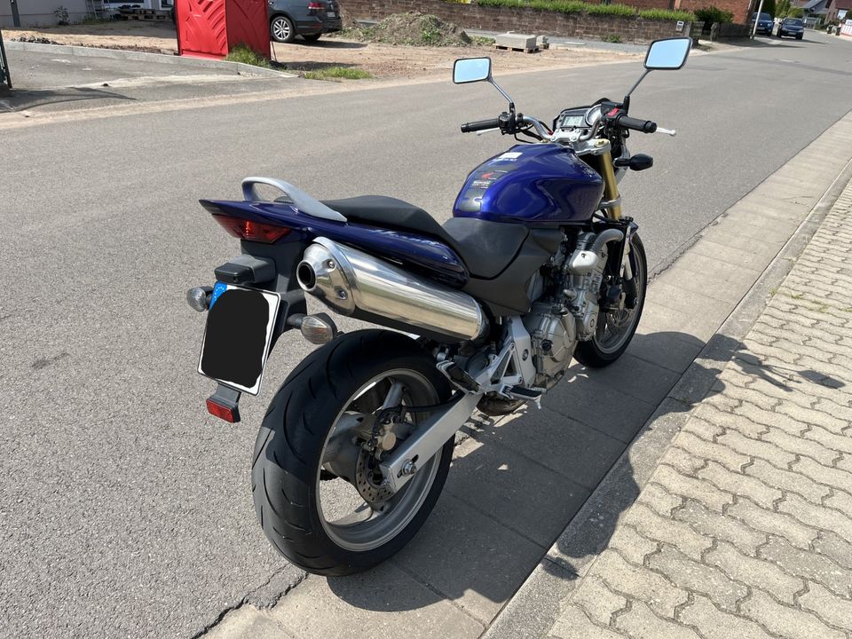 Honda CB 600 F Hornet (PC36/05) in Minden