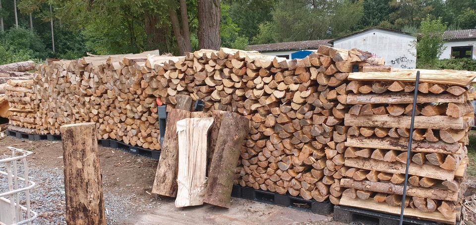 Brennholz Kaminholz Fichte 50cm Scheite in Hillscheid