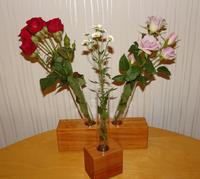 3 Reagenzglas Vasen aus Holz Kerzenständer Blumen Tischdeko Set3 Sachsen - Radebeul Vorschau