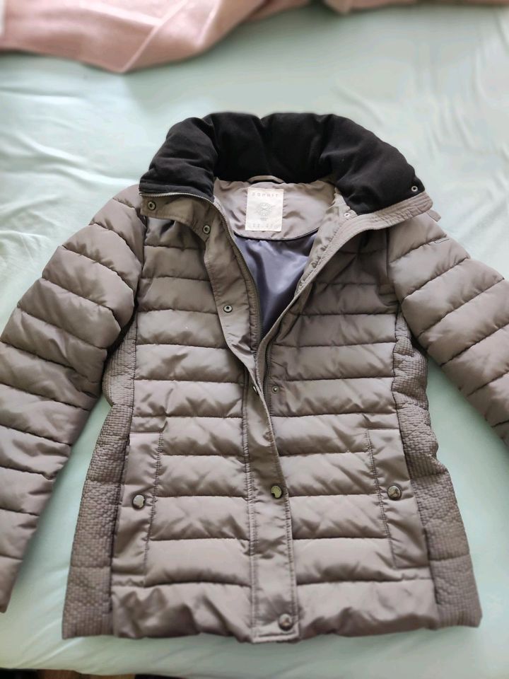 Winterjacke von ESPRIT (neuwertig) in Hamburg