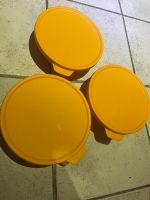 Tupperware Neu Brandenburg - Zehdenick Vorschau