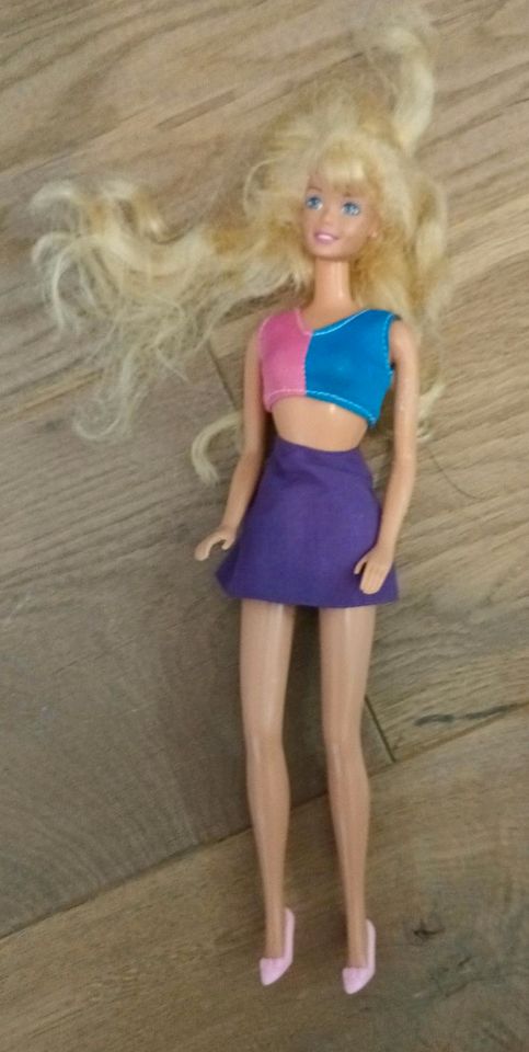 Ken und Barbiepuppen von Mattel SET in Jesberg