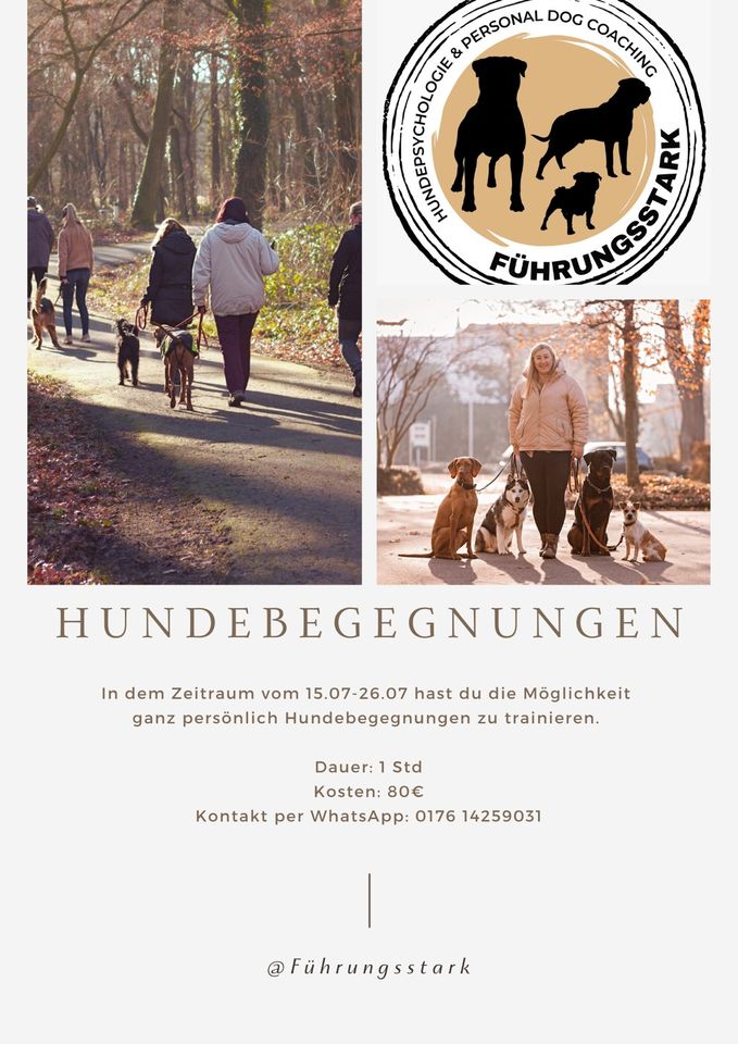 Hundetraining/Hundepsychologie in Hamm