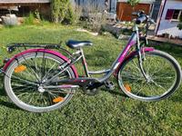Fahrrad 24 " Triumph mit Gangschaltung Bayern - Greding Vorschau